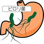 ピロリ菌について